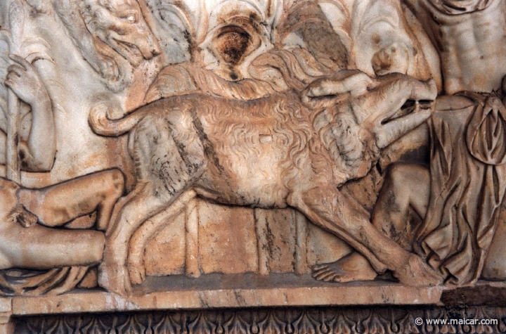 6526.jpg - 6526: Roman-time sarkofagos depicting the Calydonian boar hunt. Archaeological Museum of Eleusis.