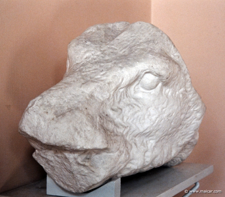 5302.jpg - 5302: Head of a boar, from the Temple of Athena Alea at Tegea. Probably by Skopas, about the middle of the 4C BC. Marble original in National Museum, Athens. Antikmuseet, Lund.