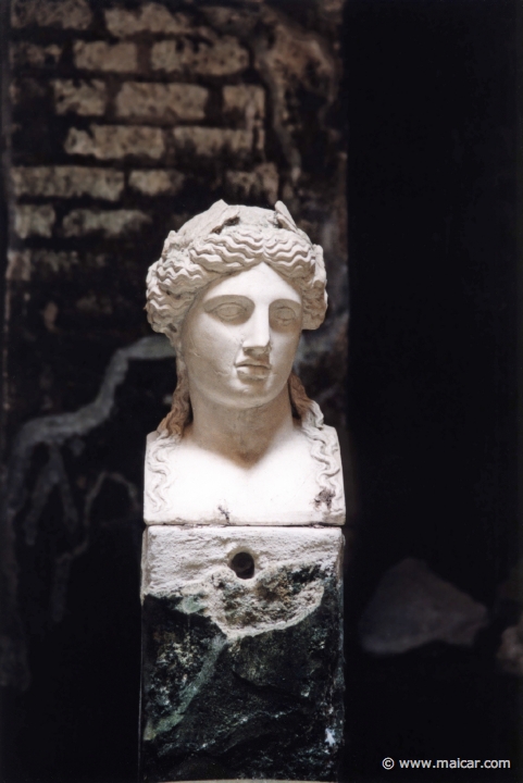7538.jpg - 7538: Bust of Apollo (plaster copy). Baths of Herculaneum.