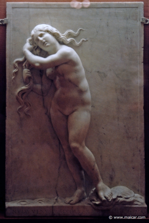 7731.jpg - 7731: Antonio Lombardo 1458-1516 (?): Venus Anadymene. Marble. Victoria and Albert Museum, London.
