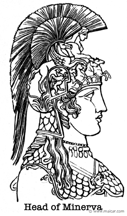 gay326.jpg - gay326: Head of Athena.